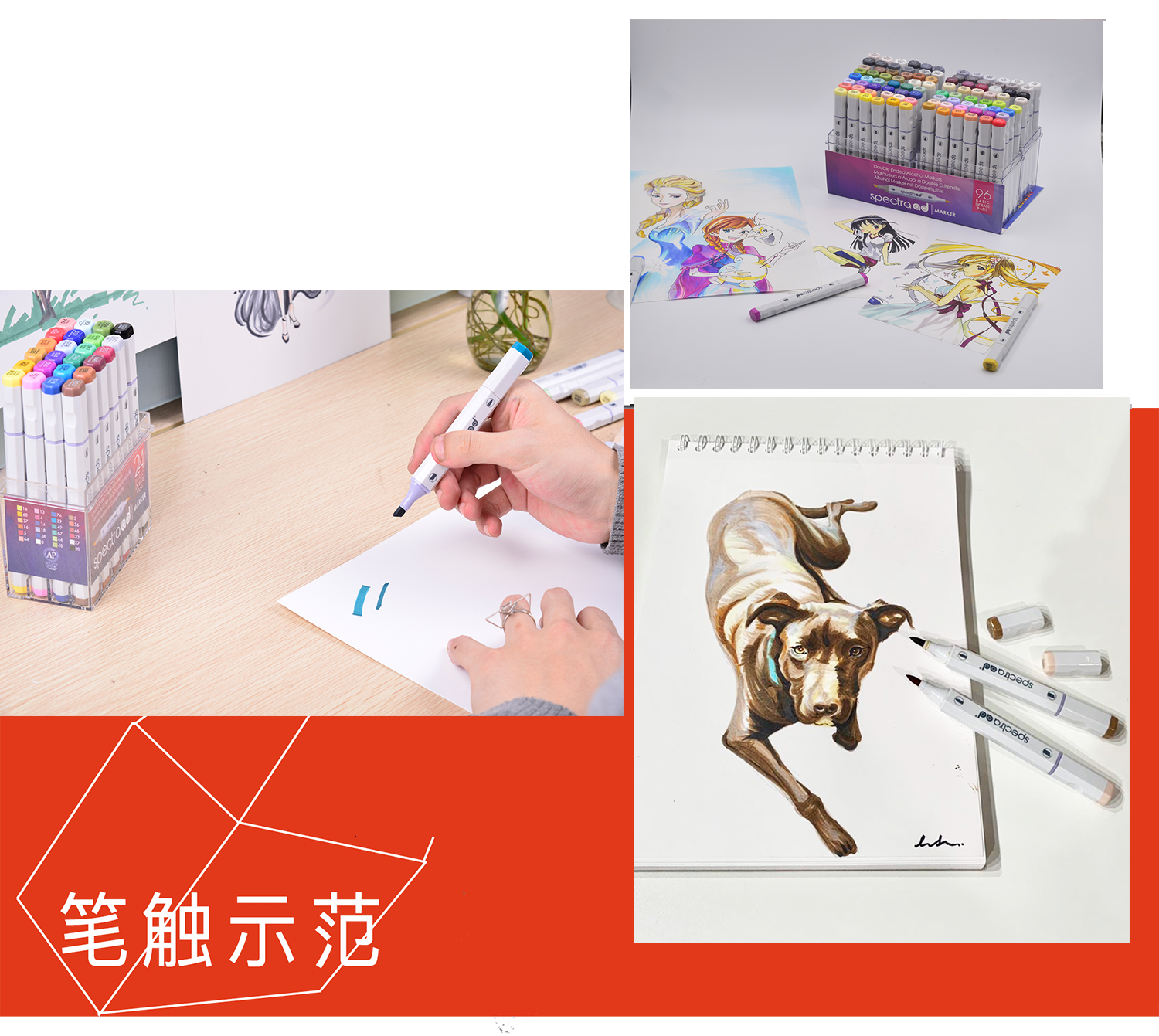 application example
